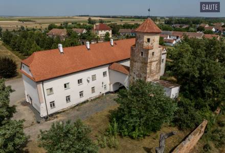                                     Prodej rozsáhlého areálu se zámkem Vlasatice, jízdárna, zázemí pro chov koní, pozemky celkem 83.936 m2, Brno-venkov
                                