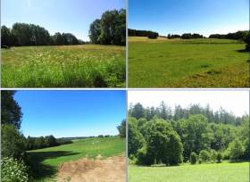 Prodej souboru 26 pozemků  - lesní, travní porost, orná půda, ostatní plocha, celková výměra 75.440 m2, k.ú. Sluhov, Kolinec